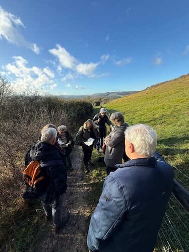 Wild Poetry Walk Dorking